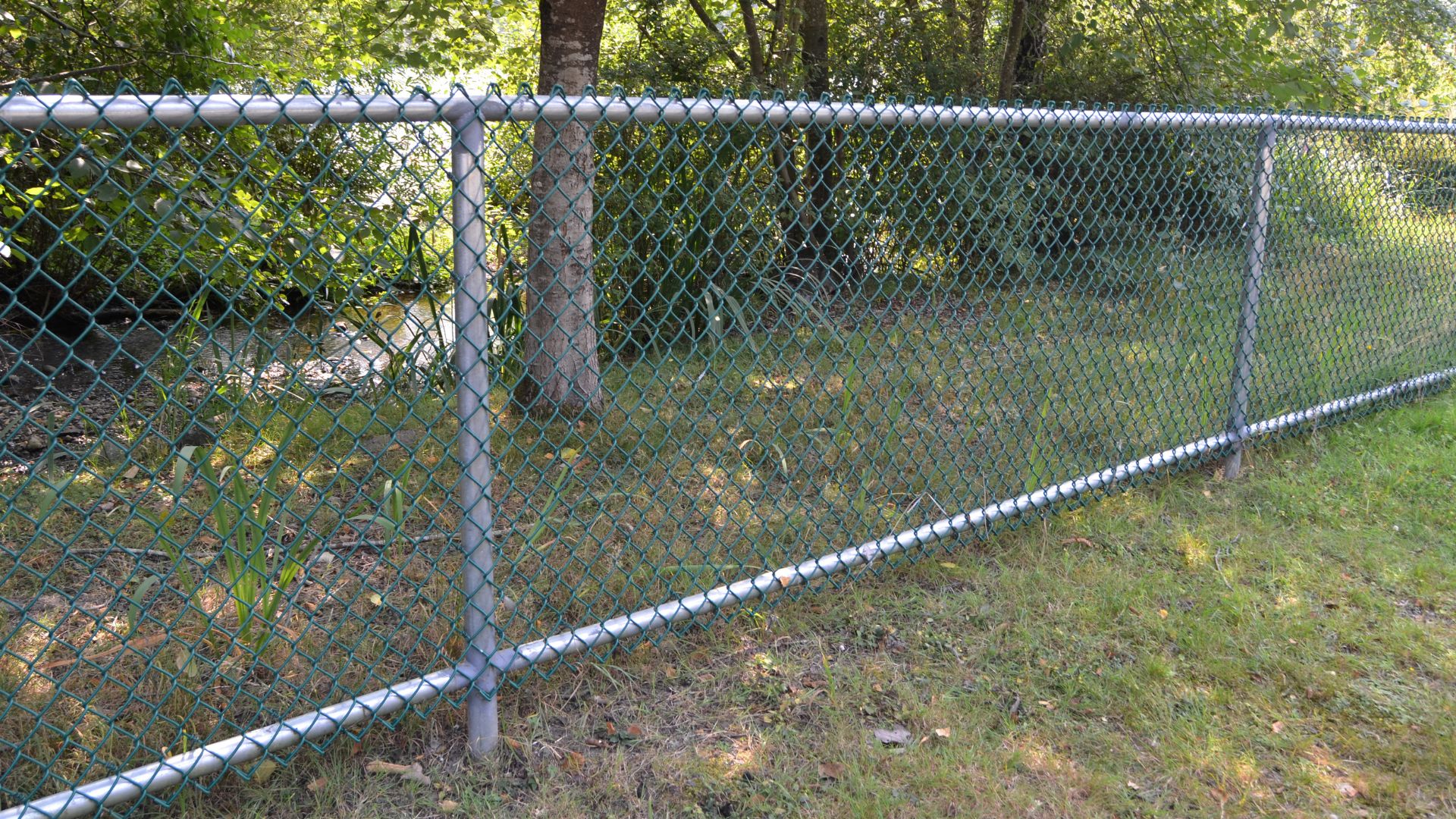 A chain link fence in the middle of a grassy area